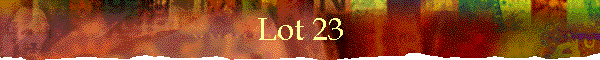 Lot 23